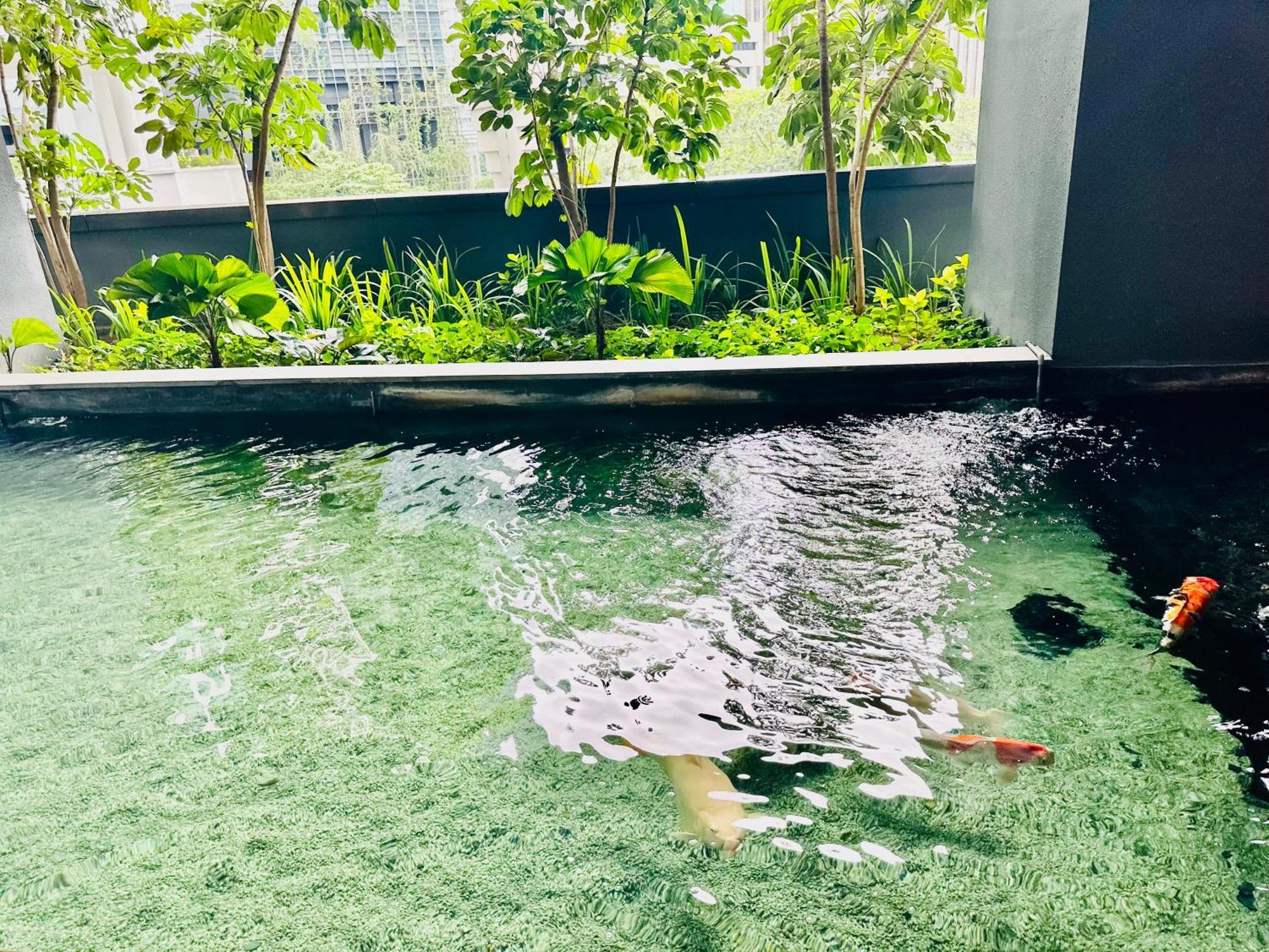 Star Klcc By Starlight Apartment *
